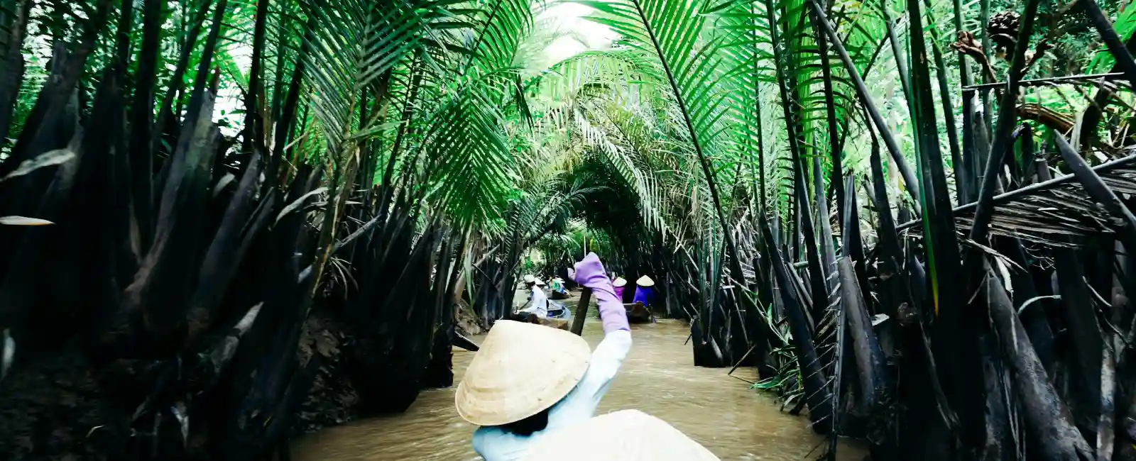 Mekong Delta