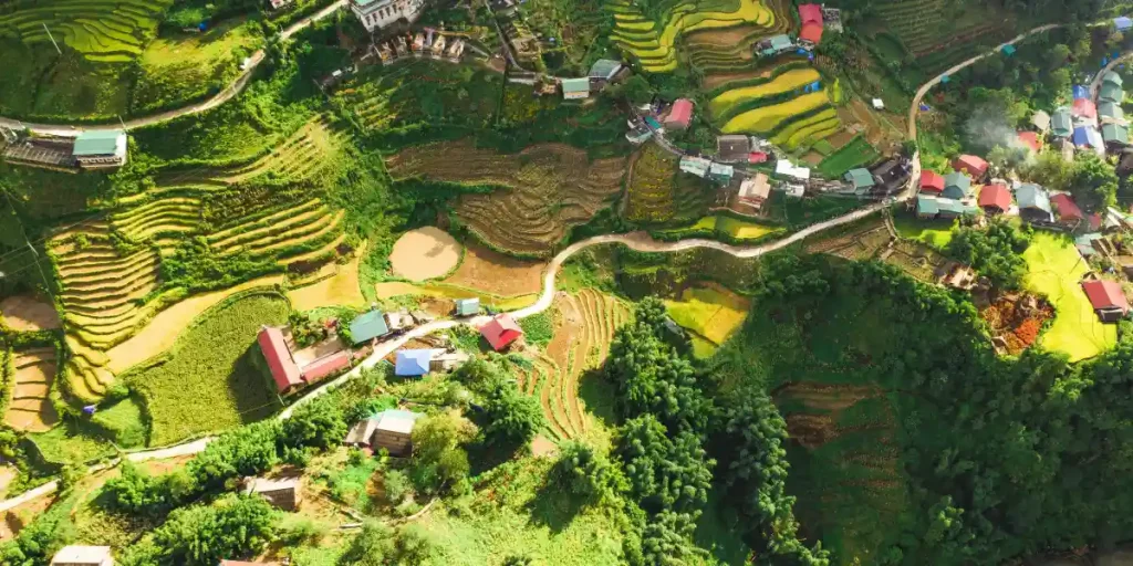 Vietnam with $1000 budget:Sapa rice field