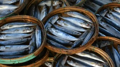 Seafood-in-Vietnam