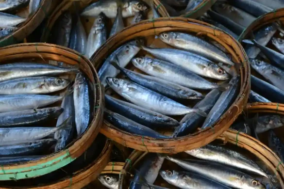 Seafood-in-Vietnam