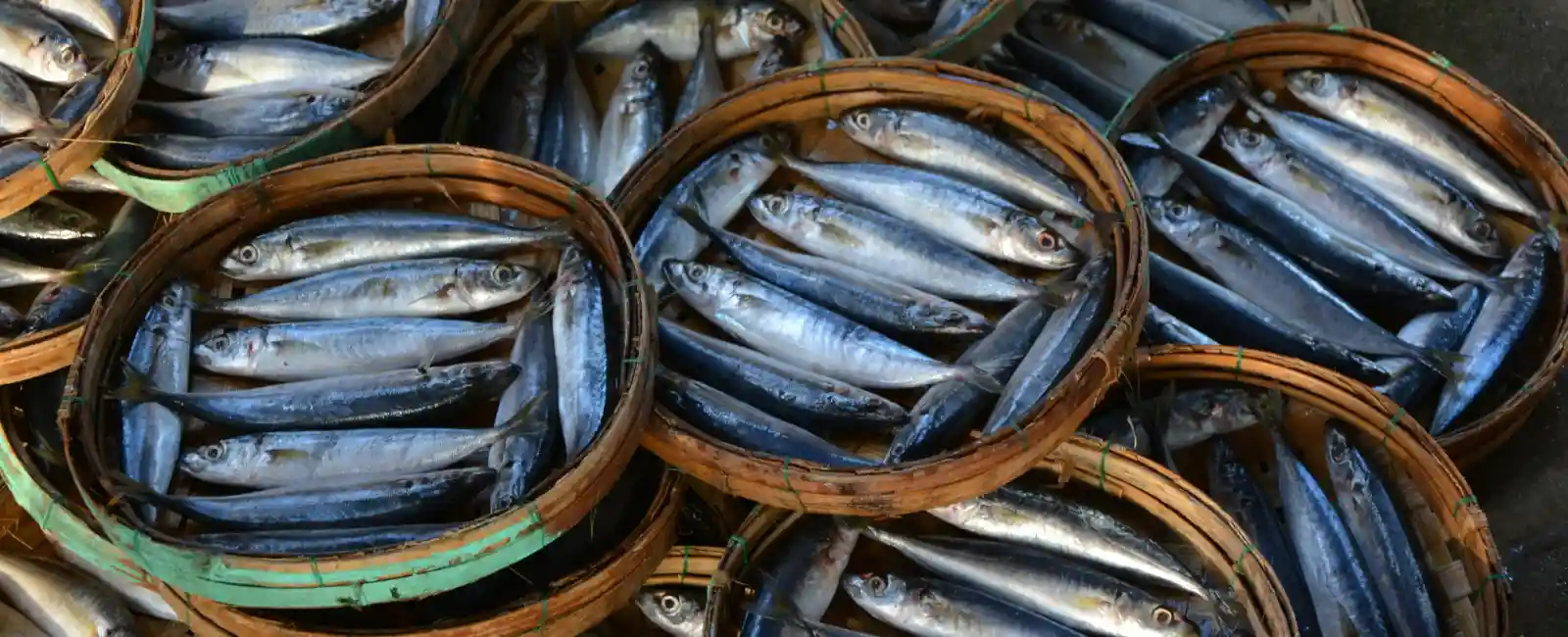 Seafood-in-Vietnam